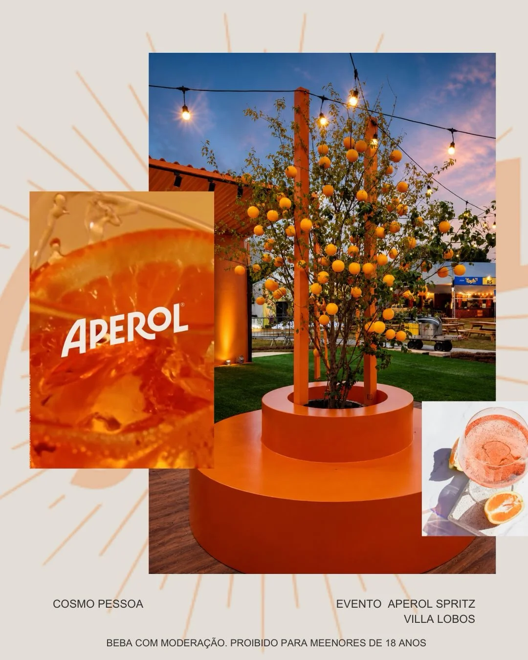 Ambientação de evento assinada pela Cosmo Pessoa Paisagismo e Eventos.